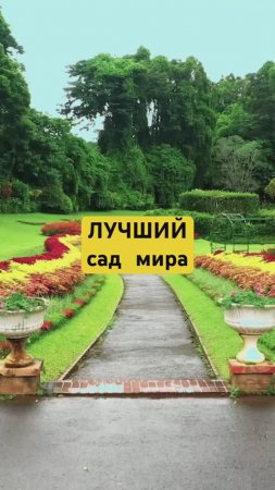 САМЫЙ КРАСИВЫЙ в САД в МИРЕ?