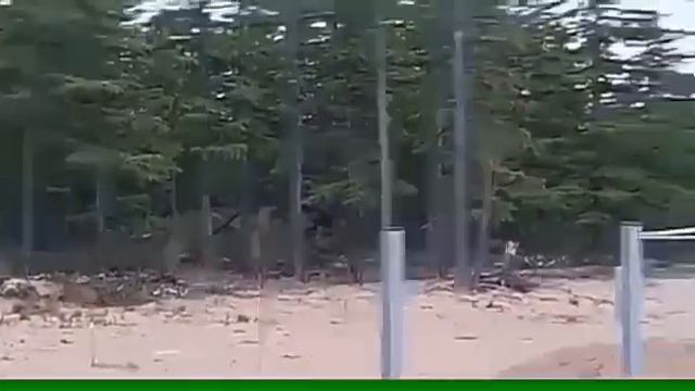 Медведи на кране смотреть онлайн