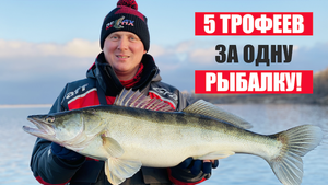 5 трофейных судаков за одну рыбалку!!! Крутая рыбалка на спиннинг с лодки с Максимом Арестовым