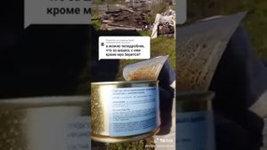 Опыт применения Шашка от насекомых Фомор-Вет. Шашка от комаров. Шашка от мух. Против ос.