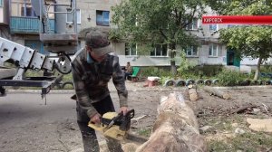 ТК "Родной". Коммунальные службы Кировска ведут активную работу по благоустройству города