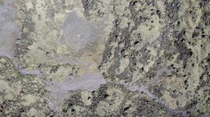 По грибы близ Пятигорска.