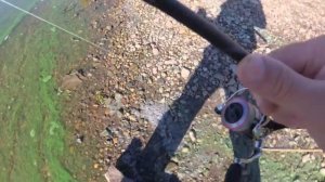 Ловля щуки на Дону. Покатушки в поисках хищника. Кизитеринка. Ловля щуки на воблер