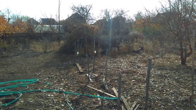 Обрезка малины осенняя.Куры помощники.Курица несется в тайне. смотреть онлайн