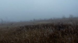 Охота на зайца осенью.Поиск зайца без снега.