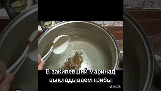 Опята маринованные