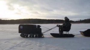 В.Павел на Рексе