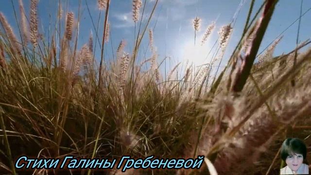 Найди свой стержень Стихи Галины Гребеневой смотреть онлайн