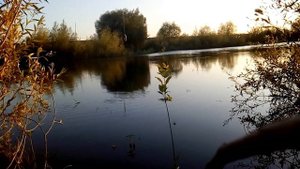 Ловля на мой обновленный боковой кивок. Испытания.