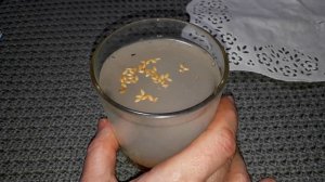 Мгновенно убирает каловые камни за 10 минут! Бабушка пьёт это перед сном и в туалет как часы