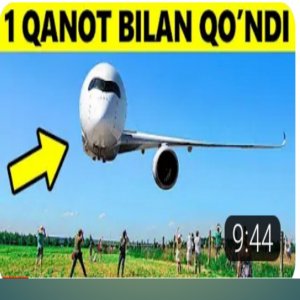 Бир канот билан кунган САМАЛËТ