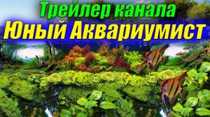 Трейлер канала Юный Аквариумист