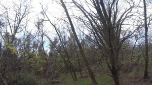 Краснодарский край охота с гончей