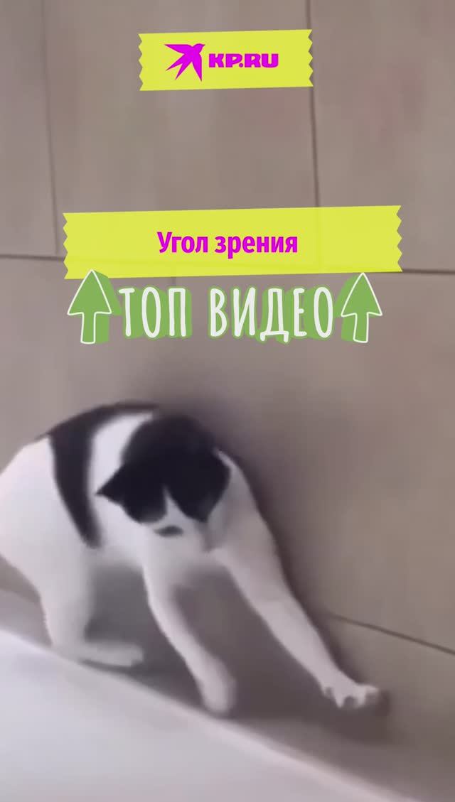 Угол зрения