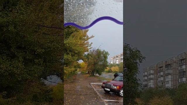 Ловить мгновения счастья...