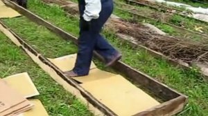 Правильные грядки