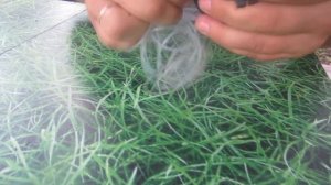 Как намотать леску на голову мотокосы.