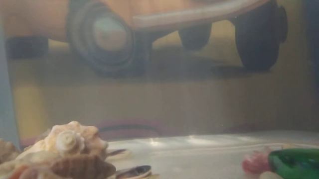 Реакция рака на свинину. смотреть онлайн