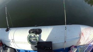 РЫБАЛКА НА ДОНУ С ЛОДКИ,ТРОЛЛИНГ И  УДОЧКУ НА ОСТРОВЕ