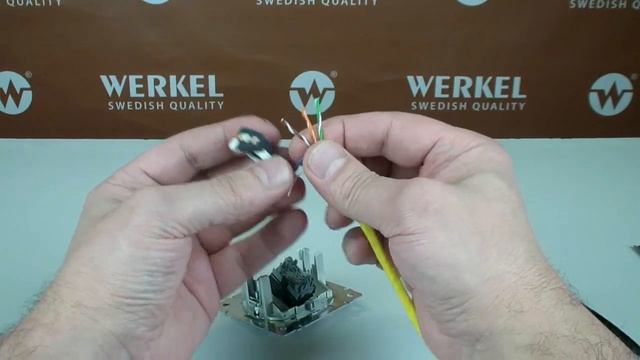 Розетка ethernet RJ-45 Werkel смотреть онлайн