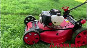 Бензиновая газонокоcилка A-iPower ALM51S. Видео от покупателя