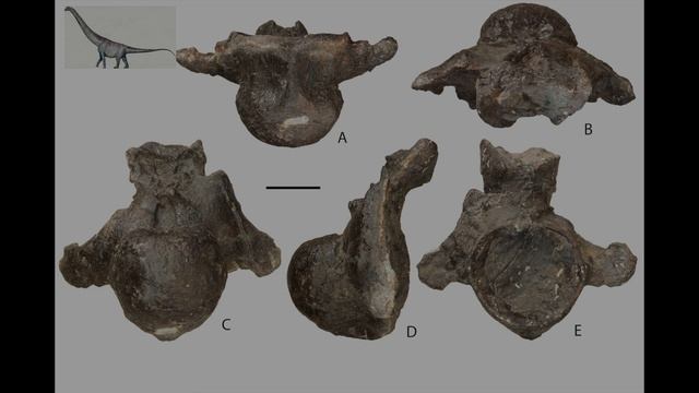 Ундоры. Палеонтологический музей