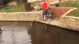 Наш Клиент Наростил Товарную Форель с Малька Форели!