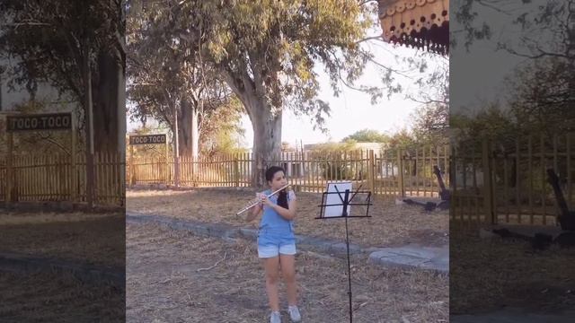 The Reaper's Song F.Shumann #anamix смотреть онлайн