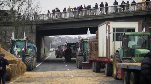 Во Франции протестующие фермеры попытались захватить продовольственный рынок Ранжис