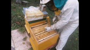 Нужна ли помощь пчелам при сборке гнезда в зиму  Сколько давать сиропа