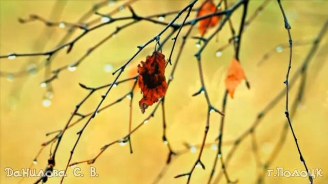 Минус песни "Непогодица", музыка и слова Ирина Бейня смотреть онлайн