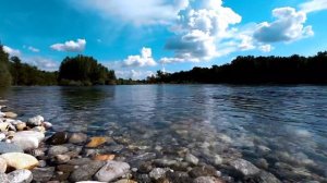 Дневник приёмной мамы/Обзор.