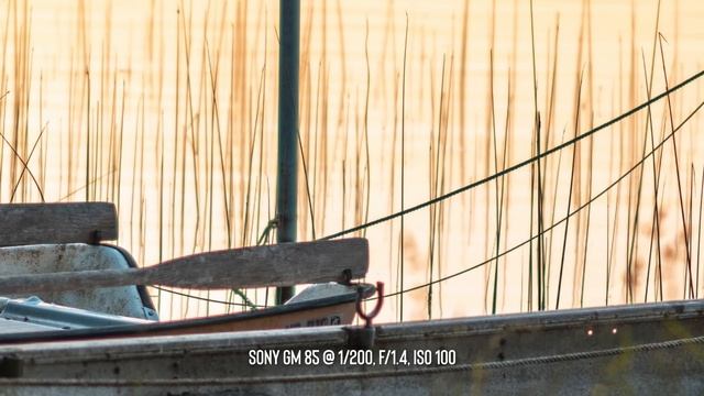 SONY 85MM F1.4 G MASTER | SONY FULL FRAME LENS REVIEW