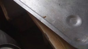 Маленький червячок