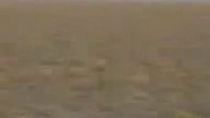 Пресная и морская Солёная вода не сливаются