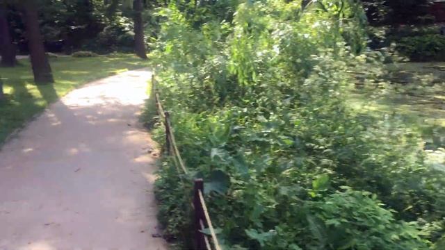 VLOG: Много цветов/Пробки/Дача★ смотреть онлайн