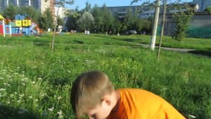 Вышел на охоту! Ловлю бабочек и стрекоз! Butterfly and dragonfly .