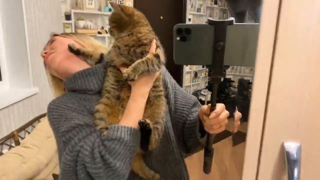 Sorabi котя смотреть онлайн