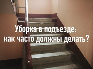 Ежедневная уборка в подъездах отменена. А была ли она вообще?