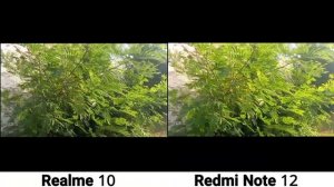 Realme 10 VS Redmi Note 12 Camera Test Comparison