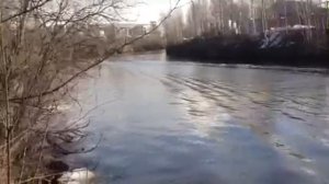 RIB FLINC 390 под мотором 20 л.с.