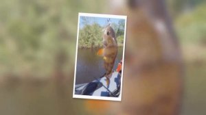 Поход на оз. Монатка , Томская область