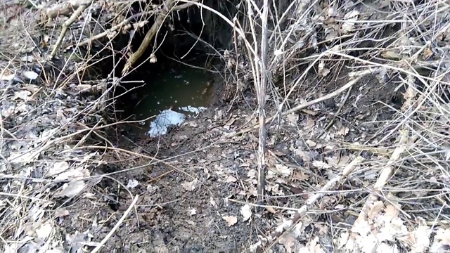 никита бобры поход смотреть онлайн