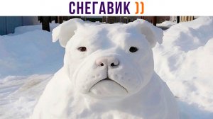 СнеГАВик ))) | Приколы | Мемозг 1359