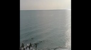 VID20230419161134 поезд 84 из Адлера !