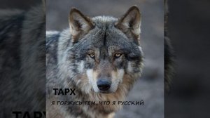 Я горжусь тем, что я Русский