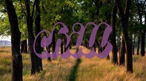 King Shi - Feelling Good