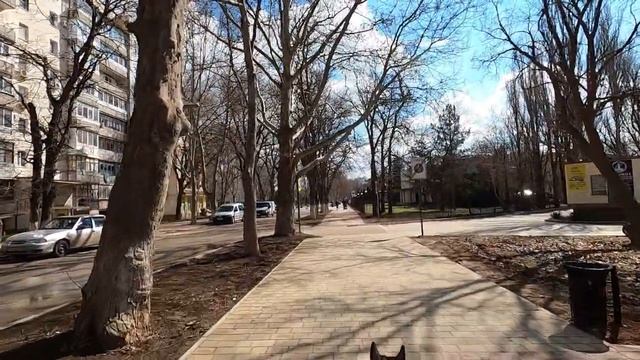#крым #саки: Расширение дороги уже началось! Что еще делается в Саках и что планируют?