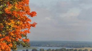 Клен ты мой опавший