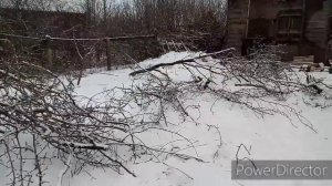 Бензопила, Заготовка   дров в деревне .